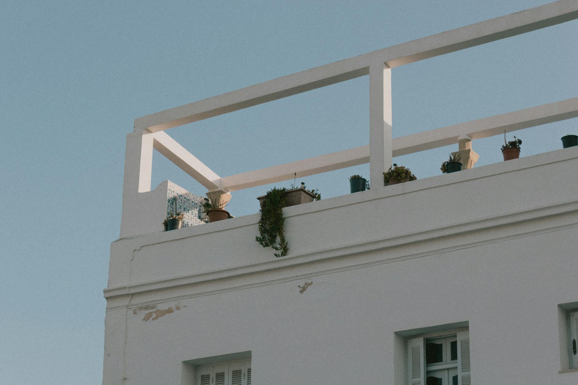 Terraza con plantas resistentes y sistema de riego en Valencia